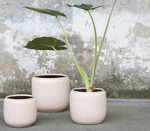 Flower Pot Pink Costa Serax - Afbeelding 2