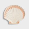 Klevering Cockle bord